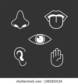 Human senses icon. Types of Perception Vector Illustration, Flat Design.