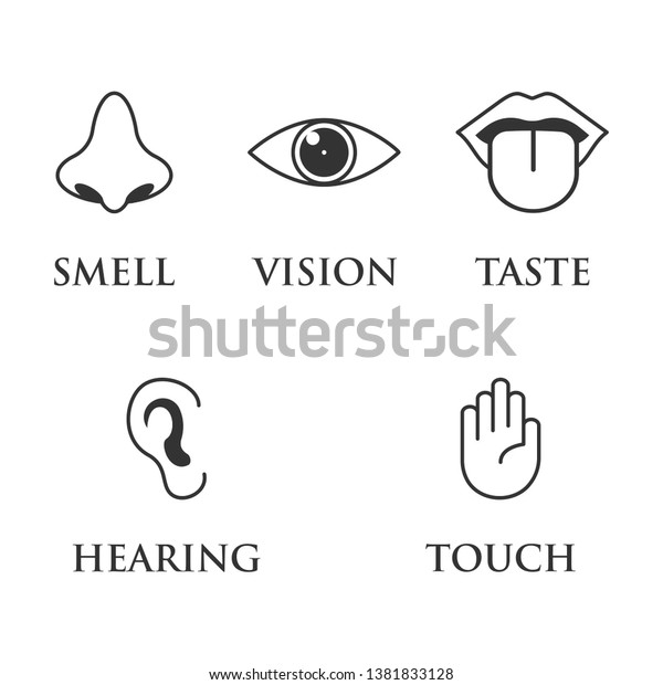 Human Senses Icon Types Perception Vector Stock Vector (Royalty Free ...