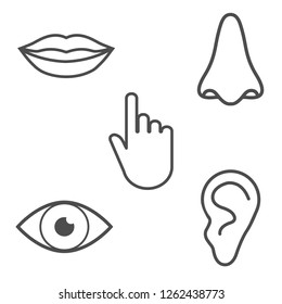 1,913 Five human senses Images, Stock Photos & Vectors | Shutterstock