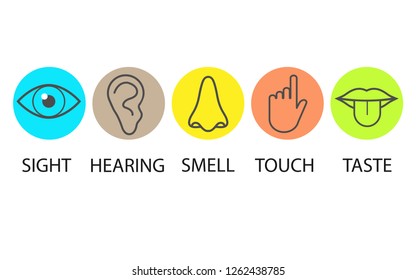 Human Senses Icon Vector Illustration Flat Stock Vector (royalty Free 