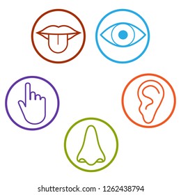 Icon Set Five Human Senses Vision Stock Vector (Royalty Free) 714529117