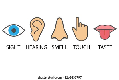 Human senses icon. Vector illustration, flat design.