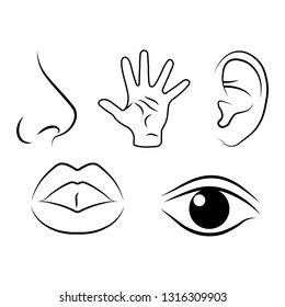 Human Senses Icon Vector Illustration Flat Stock Vector (Royalty Free ...