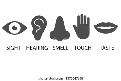 Human senses icon. Vector illustration, flat design.