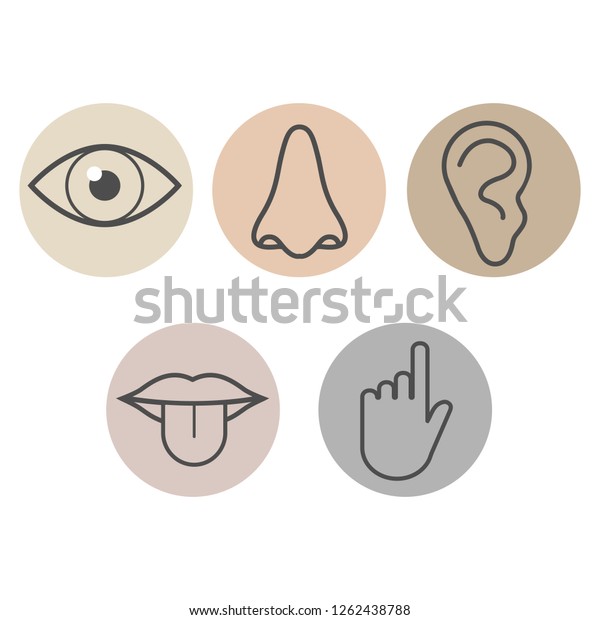 Human Senses Icon Vector Illustration Flat Stock Vector (Royalty Free ...