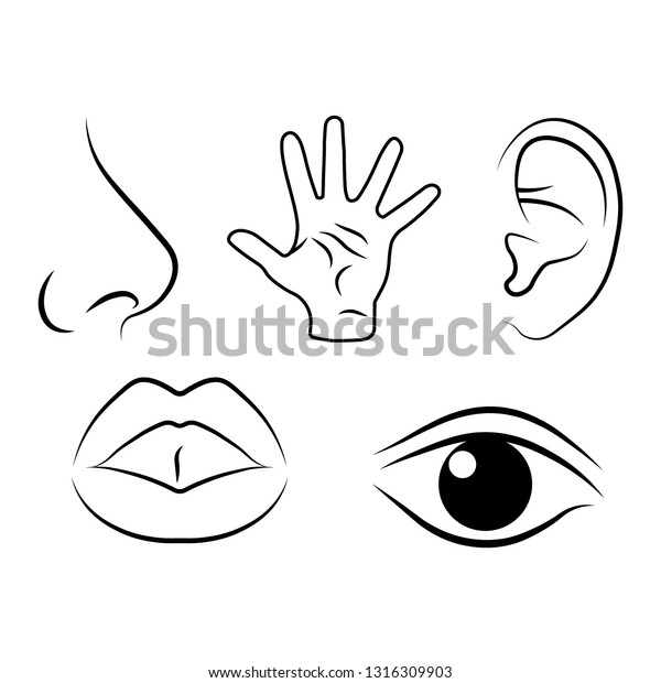 Human Senses Icon Vector Illustration Flat Stock Vector (Royalty Free ...