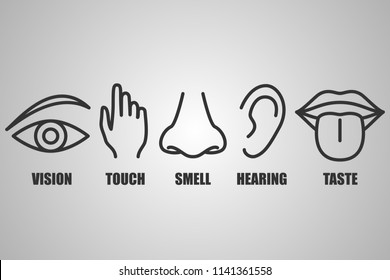 Human Senses Icons