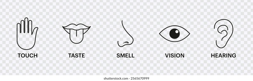 Human Senses Icons Set – Vision, Smell, Hearing, Touch, Taste