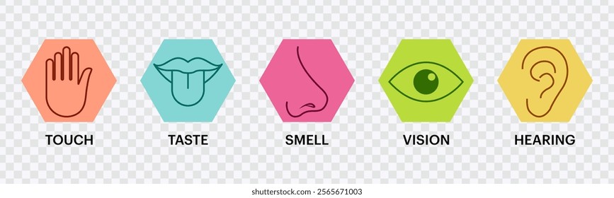 Human Senses Icons Set – Vision, Smell, Hearing, Touch, Taste