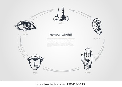 Human senses - vision, taste, touch, hearing, smell vector concept set. Hand drawn sketch isolated illustration