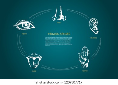 Menschen Sinne - Vision, Geschmack, Berührung, Hören, Geruch Vektorkonzept Set. Handgezeichnete Skizze, einzelne Illustration