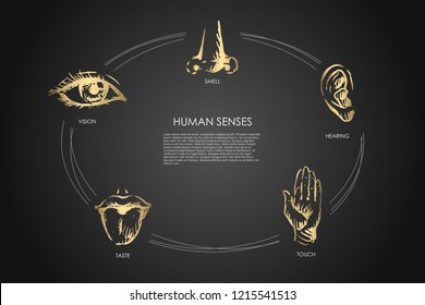 Menschen Sinne - Vision, Geschmack, Berührung, Hören, Geruch Vektorkonzept Set. Handgezeichnete Skizze, einzelne Illustration