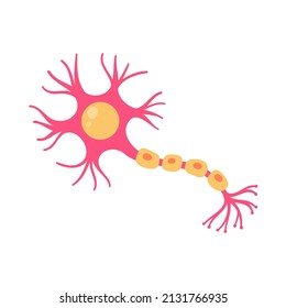 human sensory neuron model for biology studies