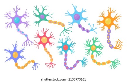 human sensory neuron model for biology studies