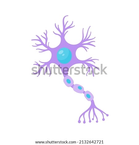 human sensory neuron model for biology studies
