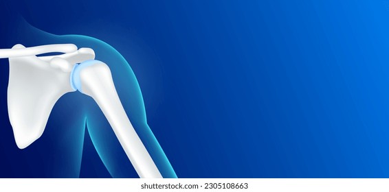 Human shoulder bone front and joint cartilage side on blue background with copy space for text. Human skeleton anatomy healthy. Medical health care science. X ray film concept. Realistic 3D vector.