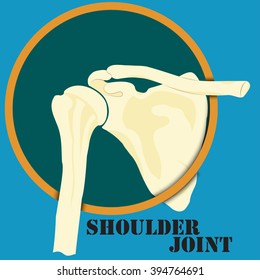 Human shoulder joint, medicine, clinic symbol design, diagnostics center, flat design, vector