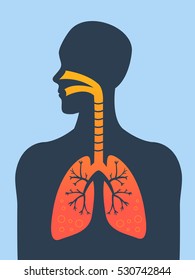 31,429 Respiratory System In Humans Images, Stock Photos & Vectors ...