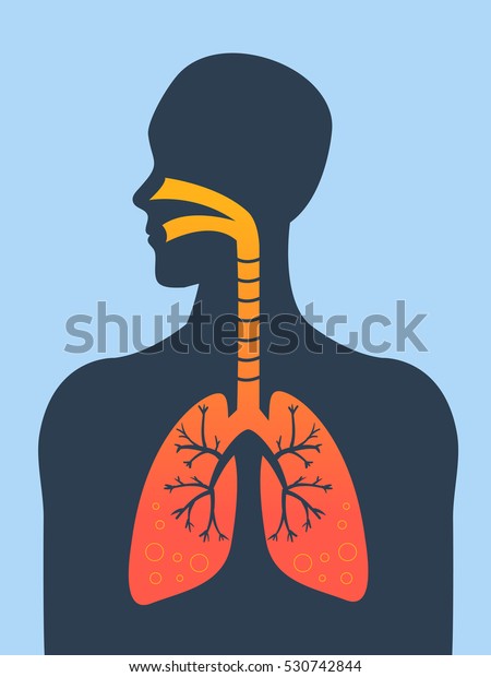 Human Silhouette Inflamed Respiratory System Lungs Stock Vector ...