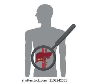 human silhouette and liver icon. Medical research items, clinical science laboratories experiments. editable vector.