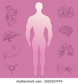 Human Silhouette in the Middle of Hand Drawn Human Organs. Human Anatomy Representation for Various Purposes
