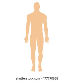 human silhouette on a white background. Modern Medical vector infographics. Medic anatomy