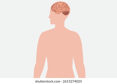 Human silhouette with visible brain, side view, medical and educational illustration. eps 10