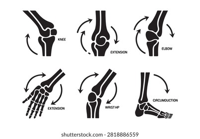 Human skeletal joint movement icons illustrating knee elbow wrist hand foot motion flexion extension and circumduction.