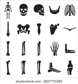 Human skeletal system anatomy and bone icons set with skeleton orthopedic education healthcare structure medicine