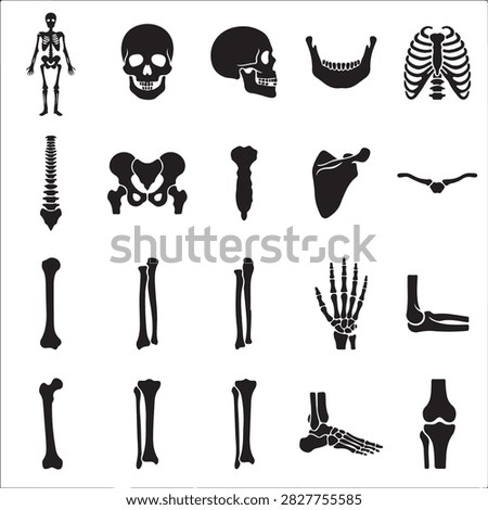 Human skeletal system anatomy and bone icons set with skeleton orthopedic education healthcare structure medicine