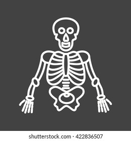 Human Skeleton Stock Vector (Royalty Free) 422836507 | Shutterstock