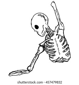 Human skeleton