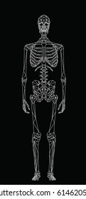 Human skeleton, abstract polygonal style illustration on black background, vector file