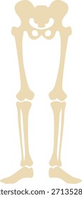 Ilustración de anatomía del esqueleto humano presentada claramente en estilo de Vector plano ideal para lecciones de biología de educación médica, diagramas de anatomía y materiales de aprendizaje