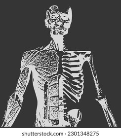 Anatomie des menschlichen Skeletts wie Röntgenaufnahme für Poster Music