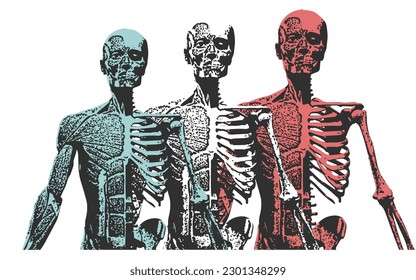 Anatomía del esqueleto humano como rayos X para la música de afiches