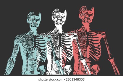 Human Skeleton Anatomy like x-ray for Poster Music