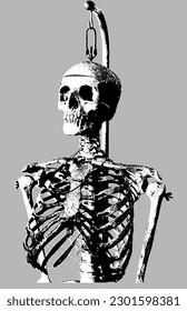 Human Skeleton Anatomy like x-ray for Music Poster and Movie Poster