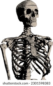 Human Skeleton Anatomy like x-ray for Music Poster and Movie Poster