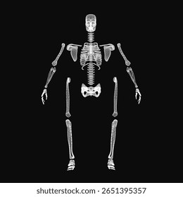 A human skeleton in black and white stands out against a dark background, with detailed bones and joints clearly visible. The anatomical illustration highlights the ribcage, skull.