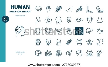 Human Skeleton and Body Linear Icon Set. Thin Line Illustrations of Human Bones, Organs and Body Parts for Anatomy, Healthcare and Medical Education.