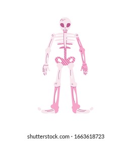 human skeleton, body part on white background vector illustration design