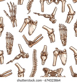 Human Skeleton Bone Seamless Pattern Background. Medical Pattern With Bone And Joint Of Hand, Knee, Hip, Foot, Spine, Elbow, Pelvis, Shoulder, Wrist, Arm, Finger Sketches For Anatomy, Medicine Design