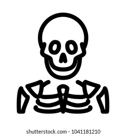 Human Skeleton Bones