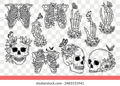 Human skeleton and bones with skulls are decorated with flowers and disassembled into body parts. Dead man skeleton for studying anatomy or designing halloween cards. Hand drawn doodle