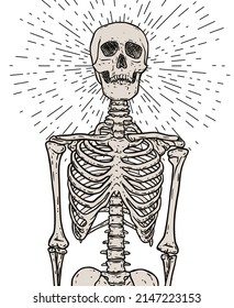 Human skeleton with bursting rays of light over the skull. Hand drawn vector anatomy body and head drawing. Gothic style illustration print design in black and white.