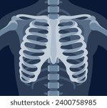 Human skeleton chest x ray image torso roentgen shot medical analyzing vector flat illustration. Anatomical bone medicine laboratory radial scan picture for disease diagnostic health care checkup