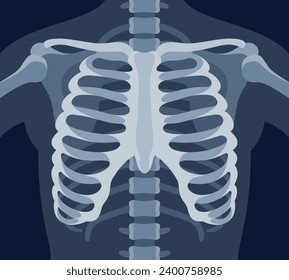 Human skeleton chest x ray image torso roentgen shot medical analyzing vector flat illustration. Anatomical bone medicine laboratory radial scan picture for disease diagnostic health care checkup