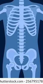 Human skeleton chest x ray image. Torso roentgen shot. Medical analyzing. Anatomical bone medicine laboratory radial scan picture for disease diagnostic health care checkup. Vector