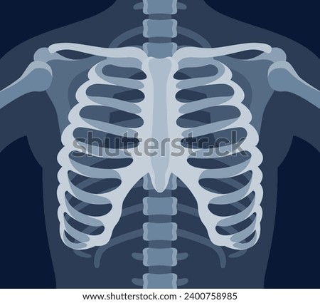 Human skeleton chest x ray image torso roentgen shot medical analyzing vector flat illustration. Anatomical bone medicine laboratory radial scan picture for disease diagnostic health care checkup